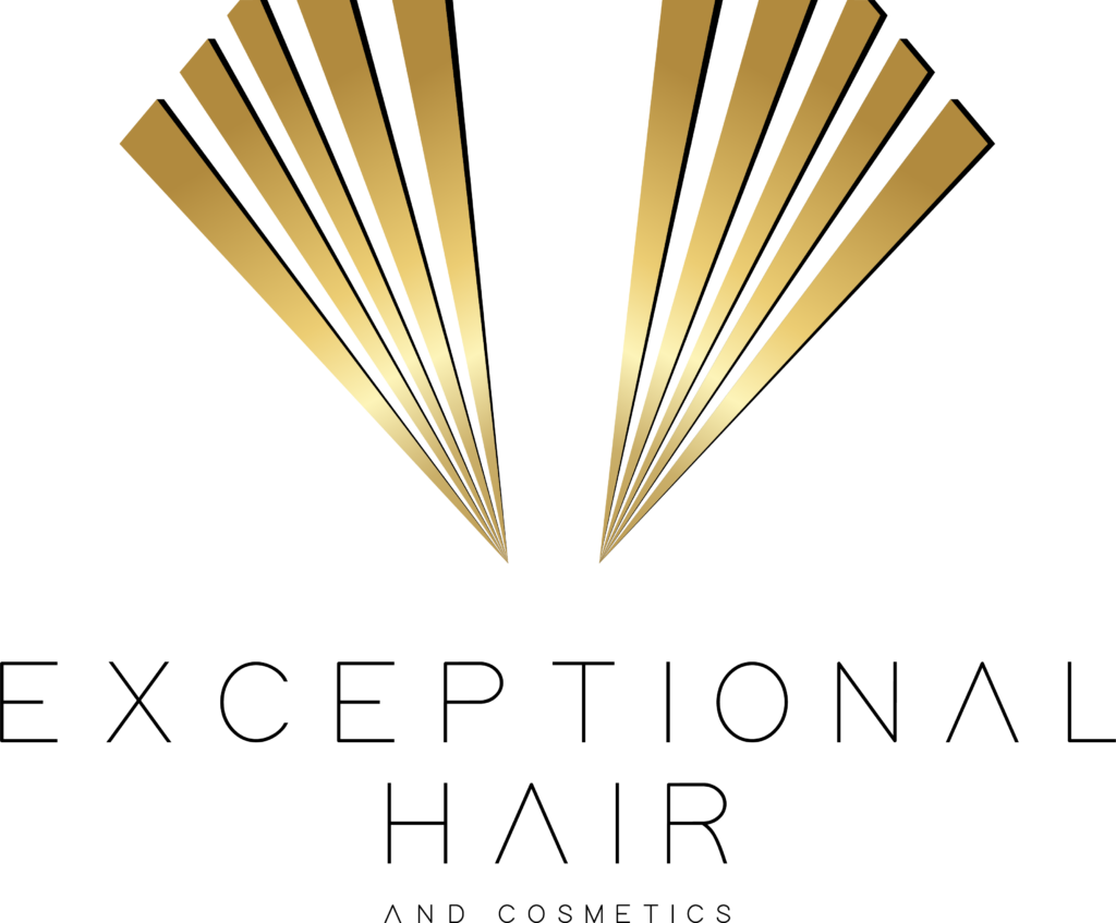 Logo Exeptionalhair Zwart transparant